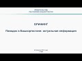 Паводок в Башкортостане: актуальная информация