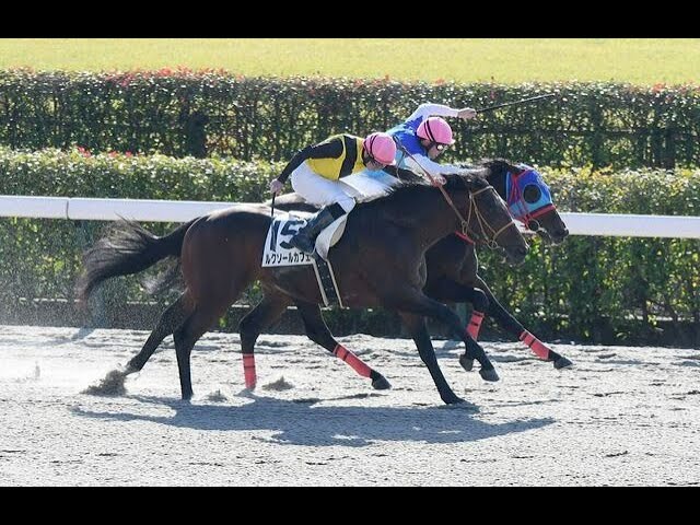 【オルフェーヴル】日本ダービー全18頭出走馬(現地的中馬券)クイックピック 東スポ競馬 on X: 