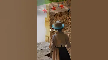 ارفع راسك فوق انت سوري حر محمد الرفاعي درعا عود سوريا دمشق Shorts 