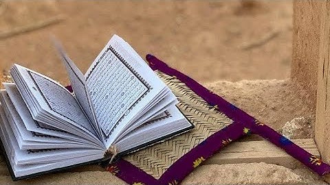 🌹ما أجملها تلاوة هادئة ترقق القلوب من 🎤القارئ عبد الله يحيى النقبي🎧❤