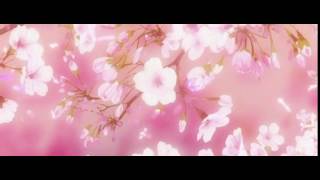 More Anime Cherry blossoms gifs