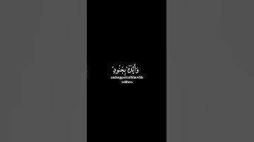 لا تحزن إن الله معنا عبدالرحمن مسعد سورة التوبة كرومات قرآنيه