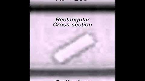 Inertial focusing of non-spherical microparticles S2