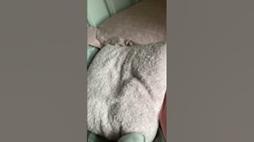 Day 25 of making ugly transitions! #subscribe #trend #transition #shorts