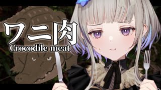 ワニ肉との邂逅　- Crocodile meat -【稀羽すう/VTuber/Re:AcT】