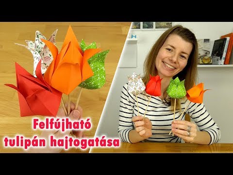 Videó: Csokrok Hajtogatása