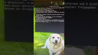 How to delete an app on Linux mint #linux #ubuntu #fyp