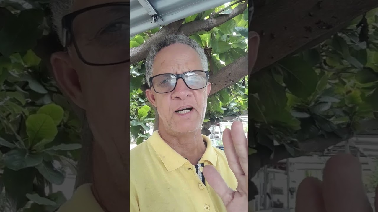 ‪@RICARDO-INTERCESSOR‬