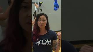 If you're looking for budget friendly mats for aerial gymnastics, yoga, dance and fitness mats with multiple different options, Greatmats.com should be your first stop. 
Crash mats are available in multiple thicknesses, widths and lengths to make sure you can provide the safest possible place to train on your aerial silks and hoops.