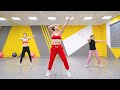 20 min Stubborn Belly Fat and Slim Waist Exercise | AEROBIC DANCE