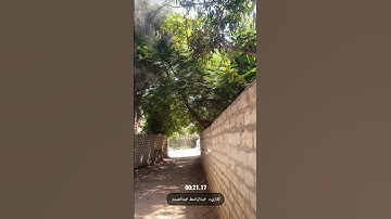 ان الأبرار لفي نعيم #تلاوة_خاشعة #قران_كريم #عبدالباسط_عبدالصمد #اكسبلور #دعاء #اكسبلور #quran #fyp