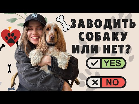 🐶ПОЧЕМУ НЕ СТОИТ ЗАВОДИТЬ СОБАКУ | МИНУСЫ❌