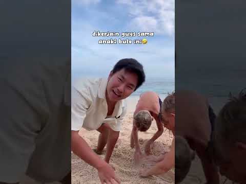 CARI HARTA KARUN
