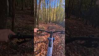 Boot Drop #acepro2 #mtb #insta360 #emtb #cannwoods #plymouth #cubestereo