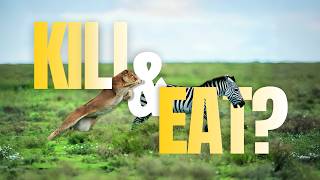 Kill & Eat? @MessiahMatters