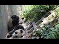 Welcome to Greenway China Volunteering.flv