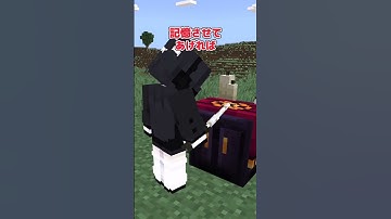 【アドオン紹介】魔法の杖を振り回せ！【統合版マイクラ】