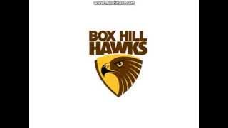 Box Hill Hawks Song