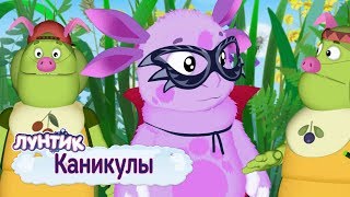 Каникулы ✨ Лунтик ✨ Сборник мультфильмов 2019