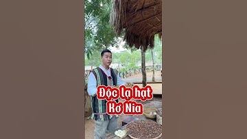 Độc lạ món Hạt Kơ Nia tại Tây Nguyên