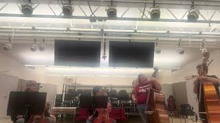 Lower Strings Review