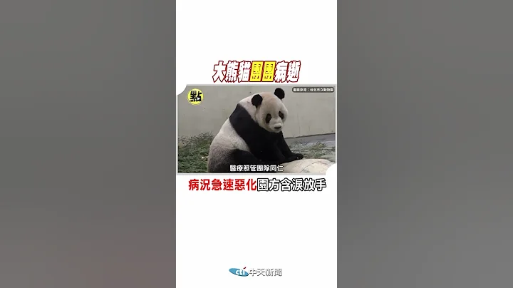 #shorts 大熊猫团团病逝 @CtiTv - 天天要闻