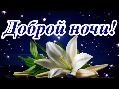 Доброй ночи! Желаю спокойного крепкого сна и тишины!