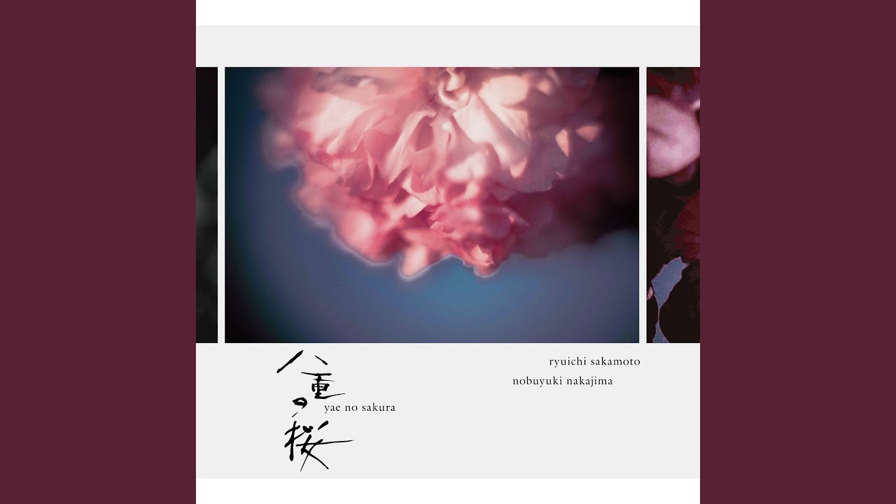 Watch 八重､桜咲く on YouTube