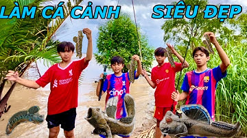 Chế Lưỡi Câu Để Câu Cá Thòi Lòi Bằng Cần Câu Máy Và Cần Câu Thục