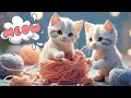 Cat meowing Cute kittens meowing to the music Cat meow