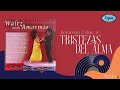 Amormio Cillan Jr. - Tristezas Del Alma (Official Audio)