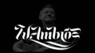 Watch Wolfgang Ambros I Bin Miad video