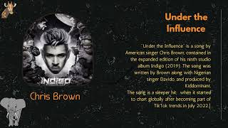 Chris Brown - Under The Influence (Audio)