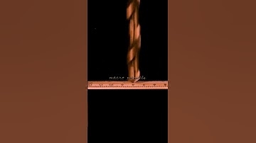 macro wood drilling.. #asmr #macro #closeup #youtubeshorts