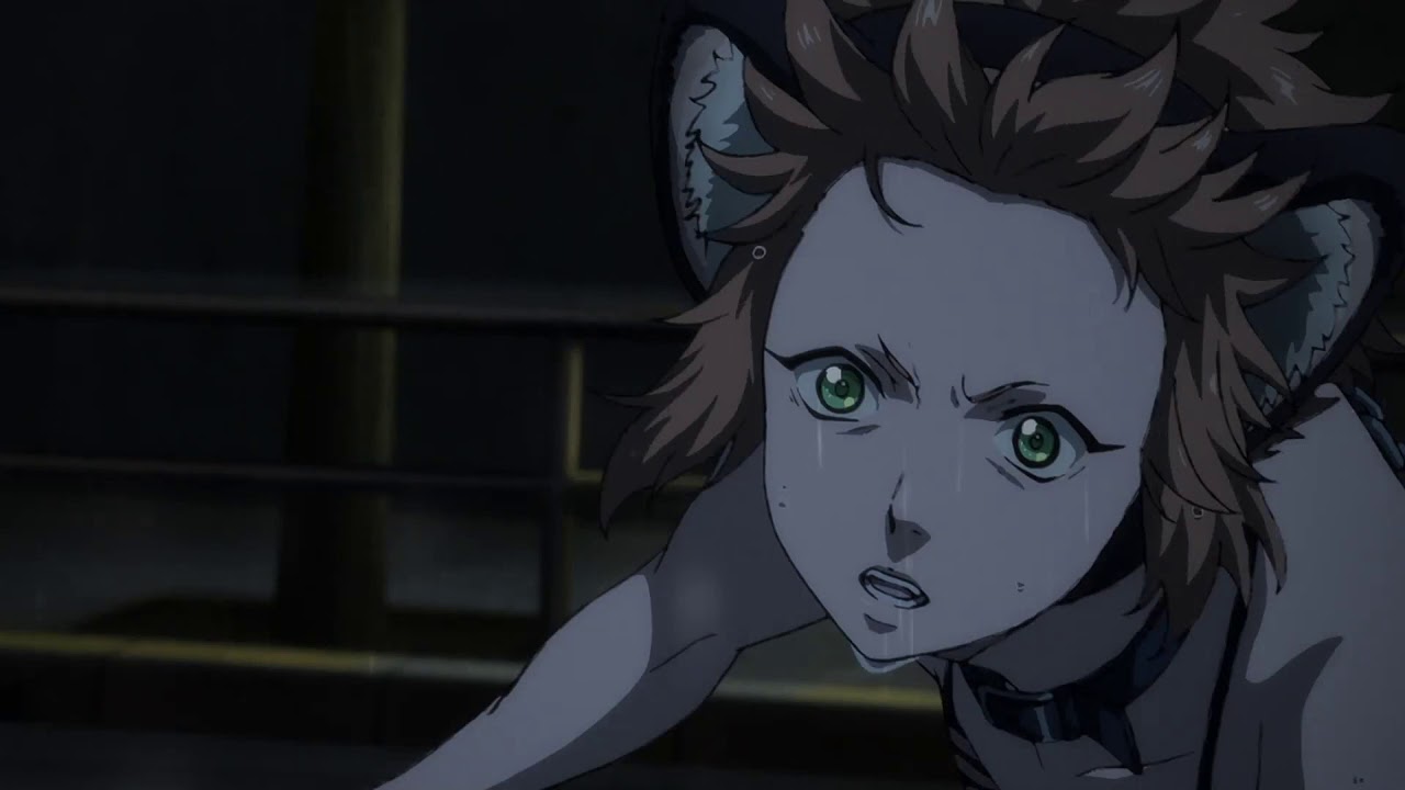 Juuni Taisen Hentai