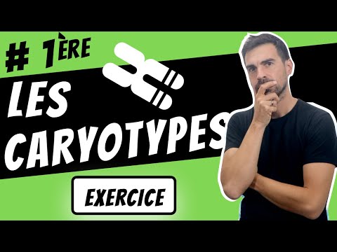 Vidéo: Les caryotypes peuvent-ils détecter des maladies génétiques ?