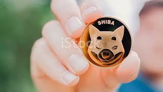 True Neutral: ShibaSwap - $SHIB DeFi Platform Upgrade! #cryptocurrency #crypto #shib #defi #eth #ai