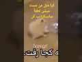 کیا مثل من اینطوری مست میشن لطفاً سابسکرایب کن