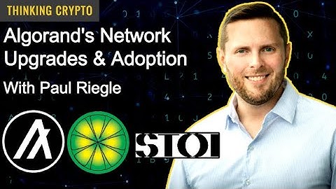 Paul Riegle Interview - Algorand