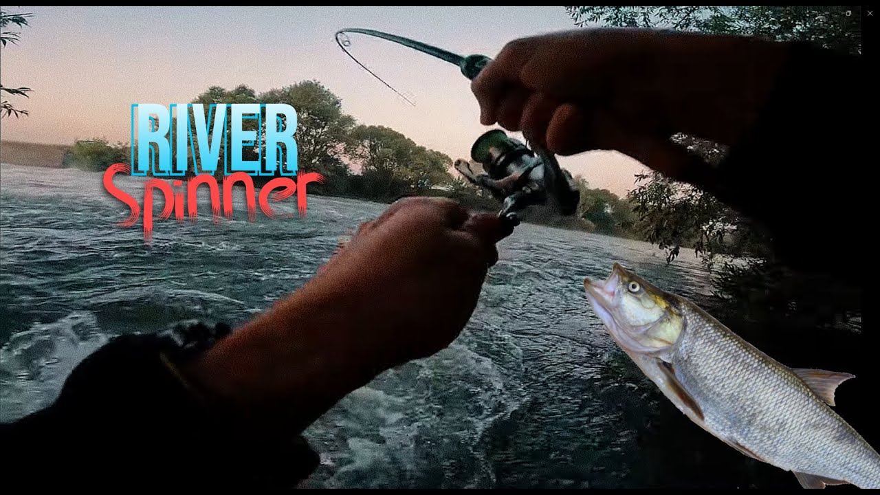 ULTRA LIGHT Fishing | Delphin Fobya + Shimano Stradic FL1000 |Increased River | Aggressive ASP | C&R