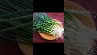 Полезные свойства зелёного лука #gardening