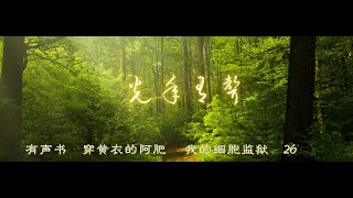 有声书    穿黄衣的阿肥     我的细胞监狱    26