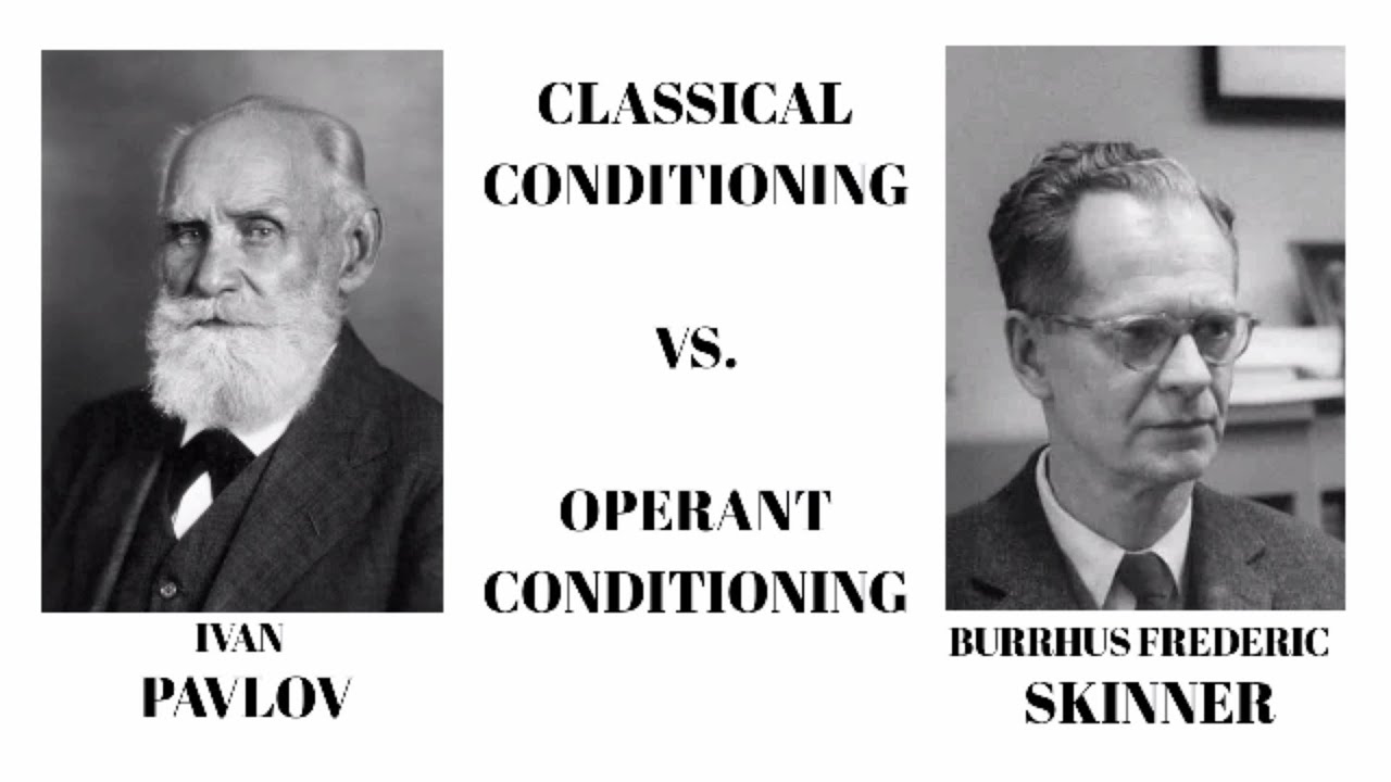 Classical Conditioning Vs. Operant Conditioning -Psychology-