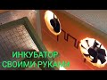 ИНКУБАТОР СВОИМИ РУКАМИ