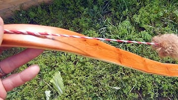Shooting Yew Static Recurve Selfbow.