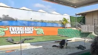 Florida Everglades Alligator Show and Air Boat Tour by 305 Florida Boy 186 views 3 months ago 42 minutes