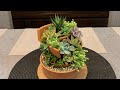 Succulent Arrangement in Broken Terracotta Pot