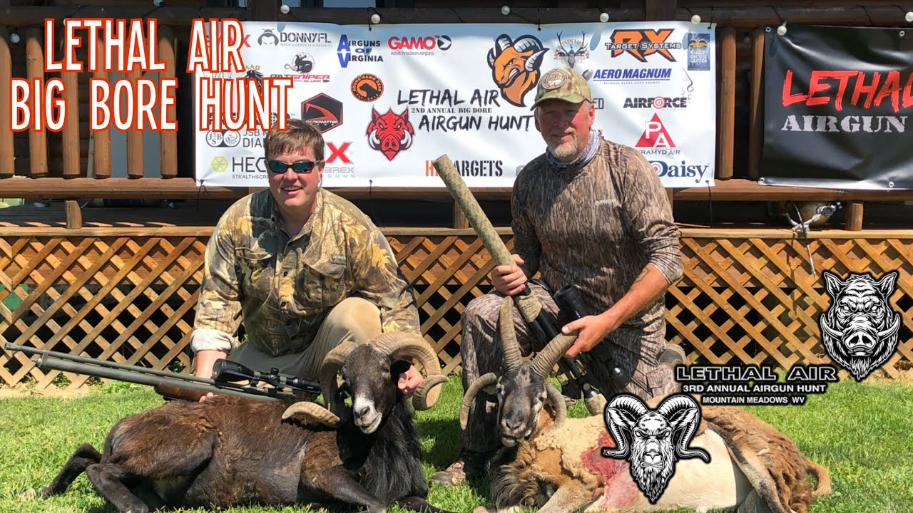 Lethal Air annual big bore airgun hunts
