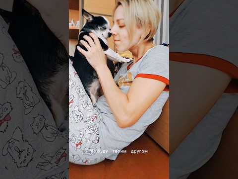 Tik-Tok: Мысли собаки 🐶