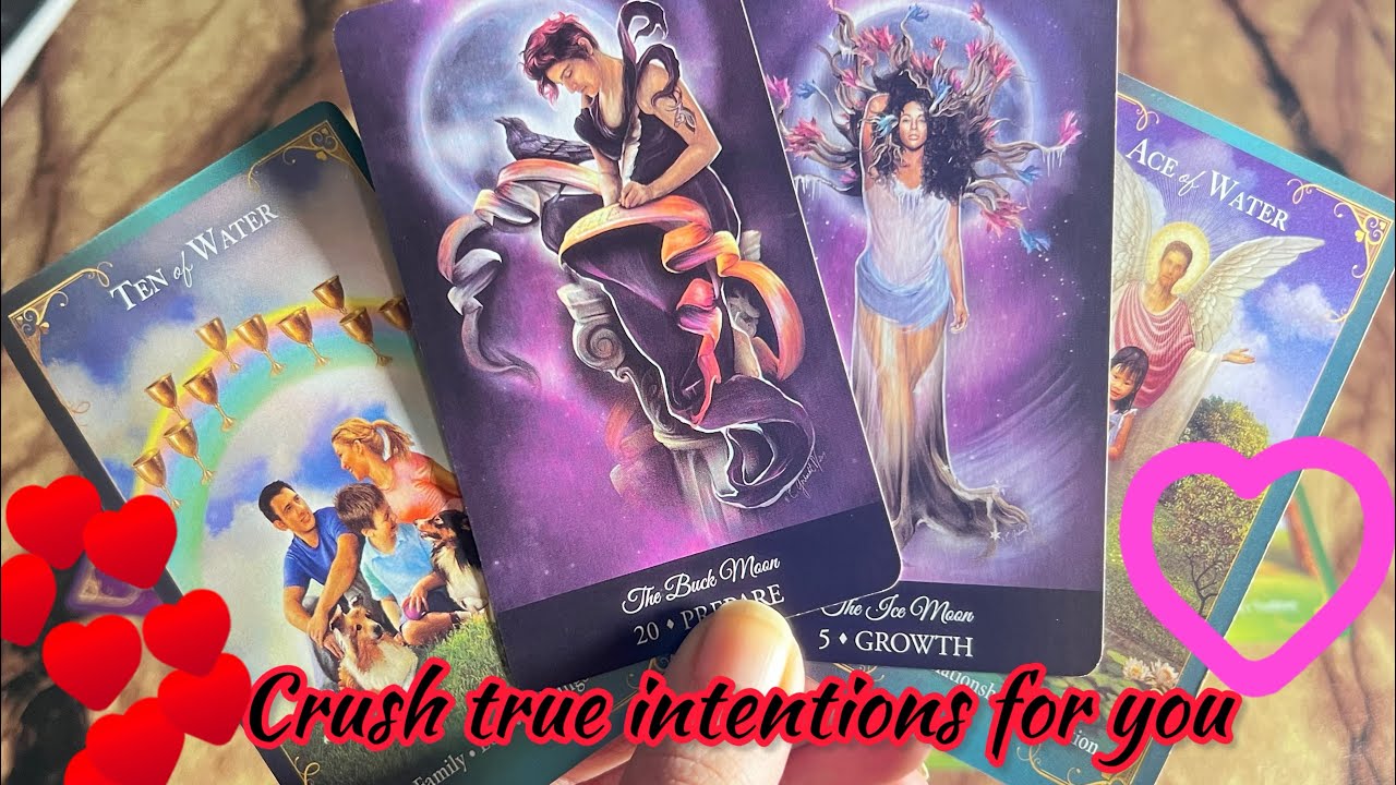 True intentions of your crush💞 Crush Current energy ️‍🔥Hindi tarot card ...